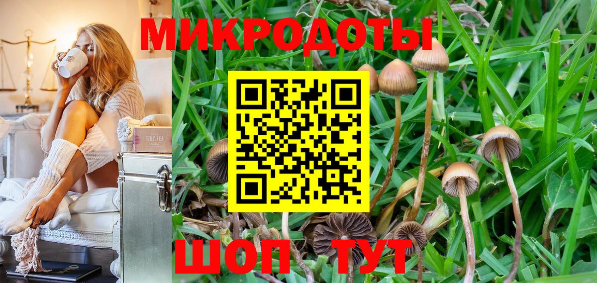 Галлюциногенные грибы прущие грибы  Вход с VPN  Галлюциногенные грибы ЛСД  Шадринск 